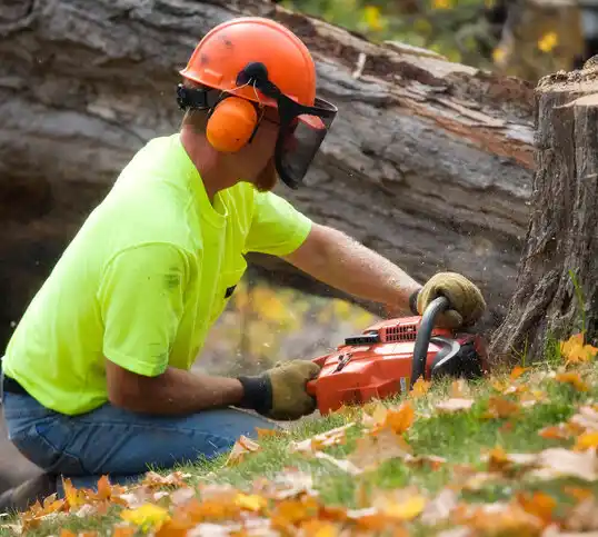 tree services Novi